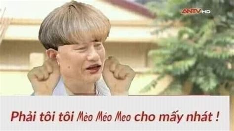 Mèo méo meo mèo meo | Mèo, Meme, Ảnh vui