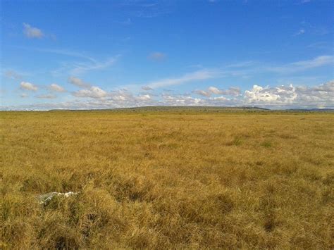 Savana Sumba Timur – Nusa Tenggara Timur | Travel to Indonesia! | Pinterest | Indonesia and Padang