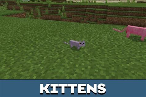 Download Cat Texture Pack for Minecraft PE - Cat Texture Pack for MCPE