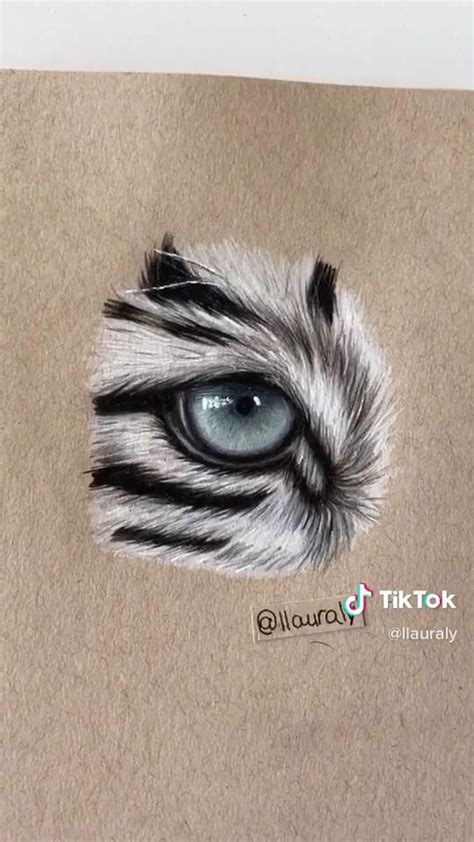 White tiger eye draw [Video] | Drawings, Cool art drawings, Prismacolor art