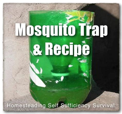 HOMEMADE MOSQUITO TRAP 2 liter bottle, glue, 1 tsp yeast, 1/2 cup sugar, lukewarm water. Cut the ...