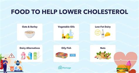 Diet for High Cholesterol: Foods to Eat and Foods to Avoid - Homage ...