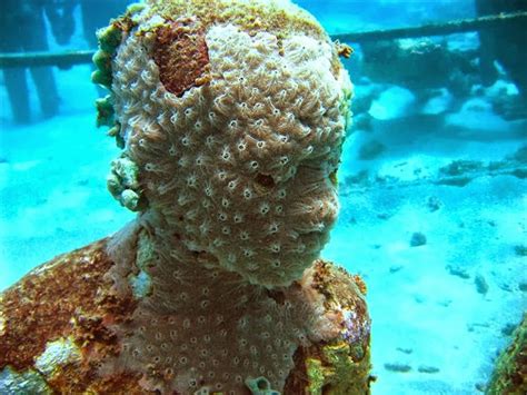 One Lucky Soul: Underwater Sculptures, Artificial Reefs