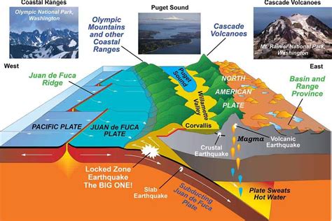 Convergent boundaries: the tectonic forces that shape the Earth