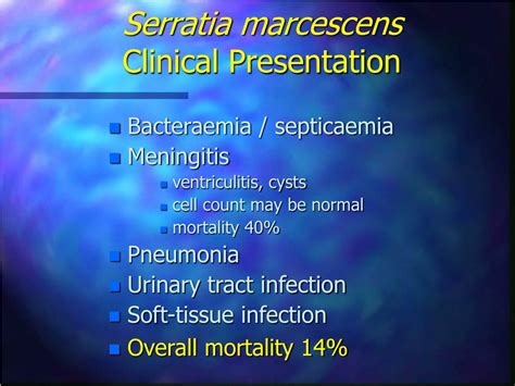 PPT - Serratia marcescens and Neonatal Infections PowerPoint Presentation - ID:1281095