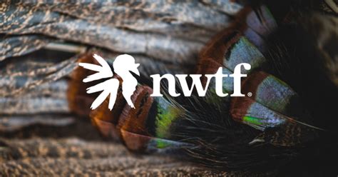 National Wild Turkey Federation