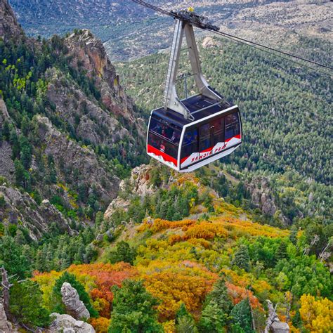 Top 91+ Images Estes Park Aerial Tramway Photos Latest