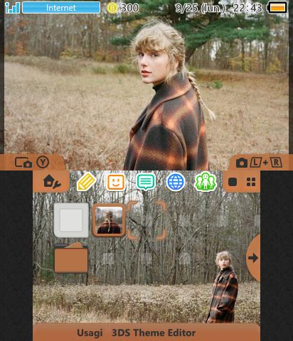 Taylor Swift - evermore | Theme Plaza