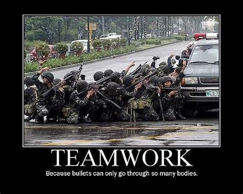 Teamwork Meme Discover more interesting Animal, Cat, Cute, Dog memes. https://www.idlememe.com ...