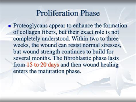 PPT - Wound healing PowerPoint Presentation - ID:331421