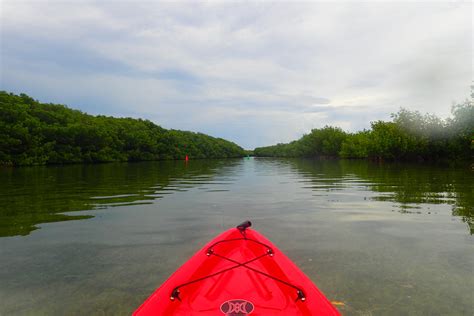 Getting Lost Kayaking Mangroves in the Florida Keys — Deviating the Norm