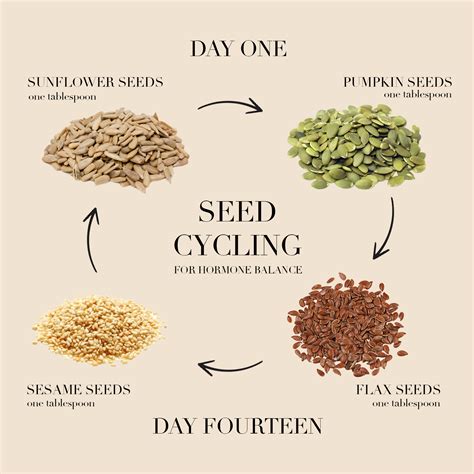 Portland travel lifestyle style blogger, Topknots and Pearls, shares how to do seed cycling to ...