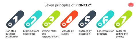 The seven principles of PRINCE2® | Business experience, Principles, Training courses