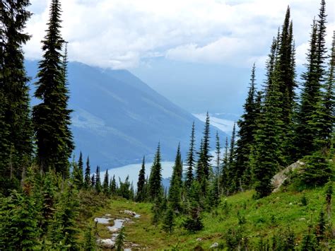 Geotripper: Northern Convergence: Mt. Revelstoke, Where the Columbia ...