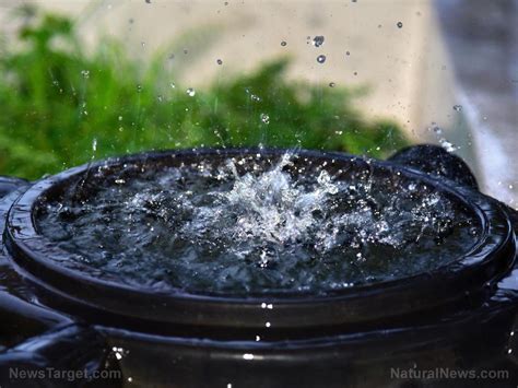 How to set up a functional rainwater irrigation system – NaturalNews.com