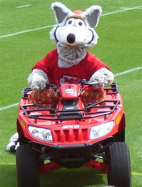 K.C. Wolf (Kansas City Chiefs) | SportsMascots Wikia | Fandom