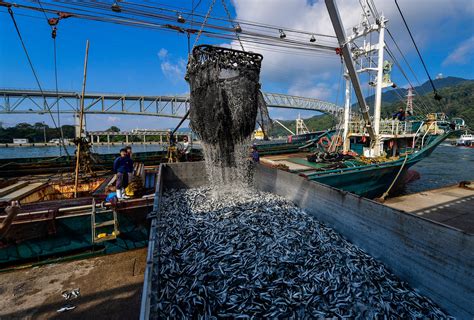 El calentamiento de los océanos podría dejarnos sin peces para comer ...