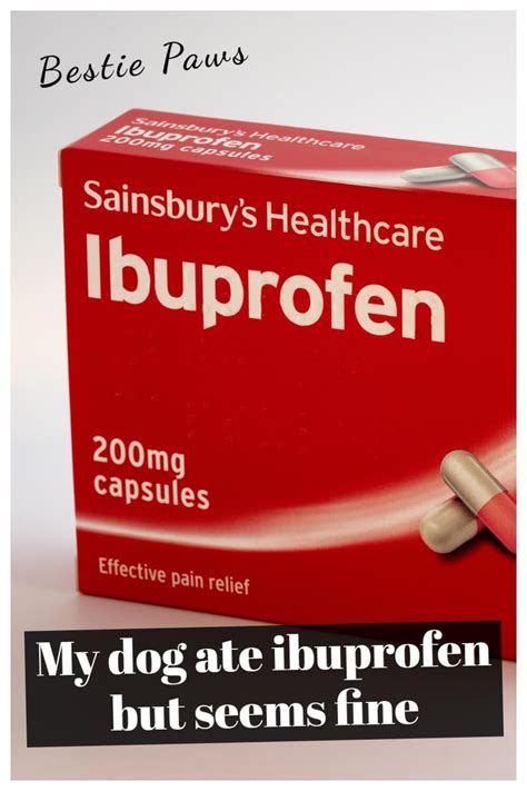 My dog ate ibuprofen and is fine in 2021 | Toxic foods for dogs, Dog eating, Ibuprofen