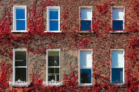 Georgian Windows Architecture Stock Photo - Image of front, exterior: 24201128