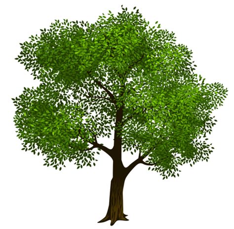 Gallery - Recent updates | Family tree art, Tree clipart, Family tree ...