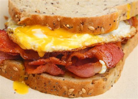 Bacon & Egg Sandwich stock image. Image of sandwich - 33621941