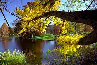 Cincinnati - Spring Grove Cemetery & Arboretum "Geyser Lak… | Flickr