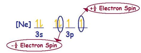 Spin Quantum Numbers