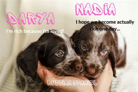 Russian Dog Names – 80 Ideas and Their Meanings