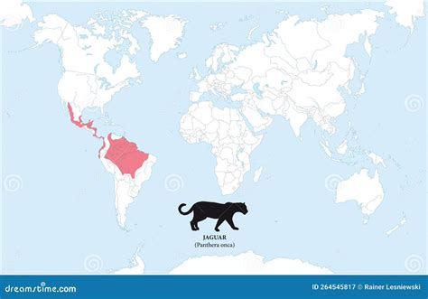 Map of the Distribution and Habitat of the Jaguar Stock Vector - Illustration of genus ...