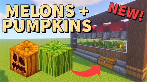 BEST MELON AND PUMPKIN Farm in Minecraft 1.20! - Java and Bedrock! - YouTube