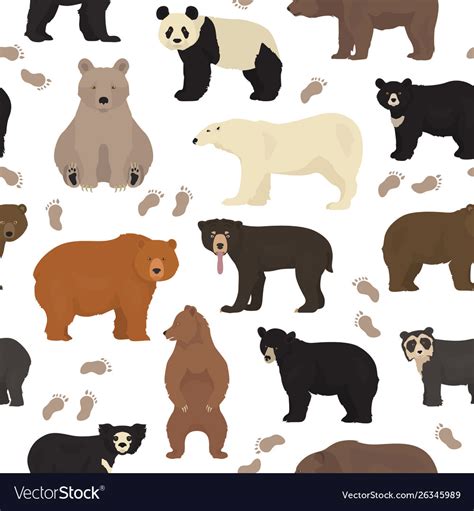 All world bear species in one set bears seamless Vector Image