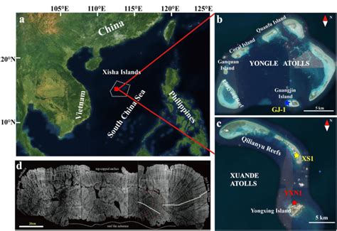 (a) Location of the study site in the Xisha Islands, northern SCS. (b ...