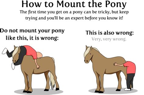 i want a pony! | Funny, Funny memes, Funny pictures