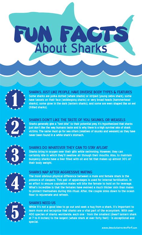 Fun Facts About Sharks - Infographic Facts