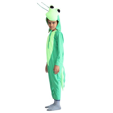 Grasshopper Costume Rental in Udaipur | Fancyano