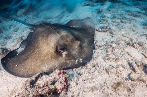 Cancun Diving | Scuba Cancun Mexico - A' HA' Scuba Diving