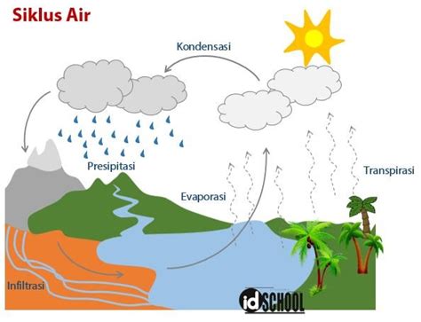 Proses Kondensasi Pada Siklus Air Kelas - IMAGESEE