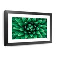 Green Succulent Leaves Wall Art | Photography