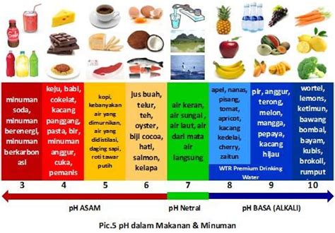 Ph Levels Of Fruits And Vegetables 2 | Balanced diet chart, Balanced ...