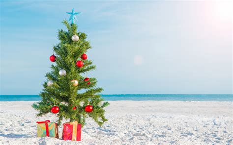 8 Things to Know Before Visiting Florida in December - Florida Trippers