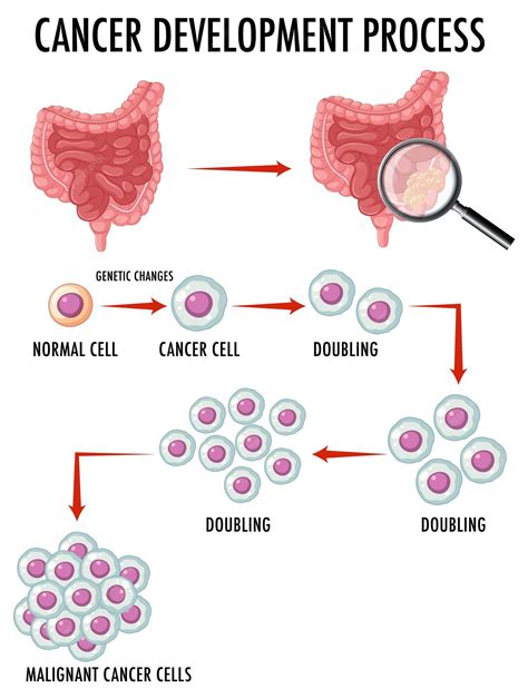 Cancer Cell Diagram