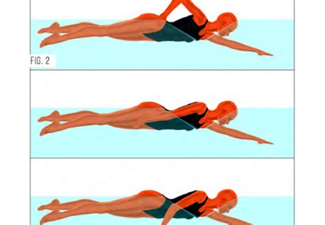 A Closer Look at Technique Misconceptions: Front Quadrant Swimming - Swimming World News