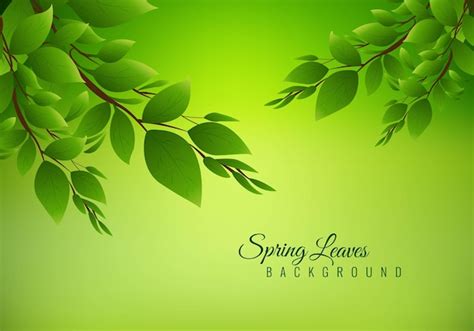 Free Vector | Illustration nature background with green leaves