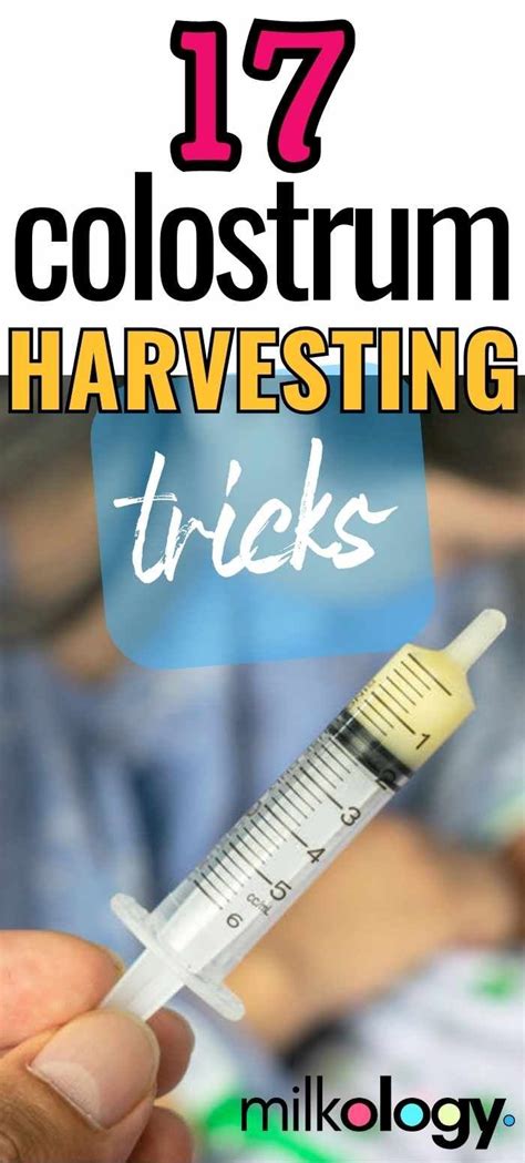 17 Genius Colostrum Harvesting Tips — Milkology®