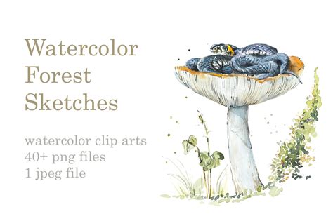 Watercolor Forest Sketches | Graphic Objects ~ Creative Market