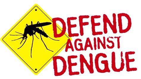 Dengue All you need to know ! - YouTube