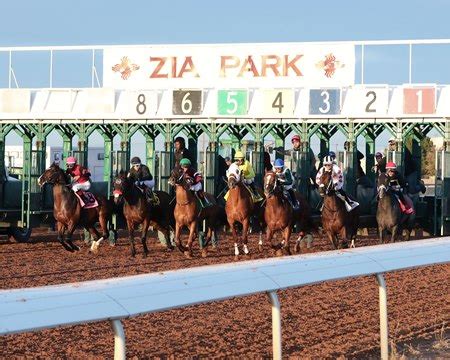 Handle Soars During Recently Completed Zia Park Meet - BloodHorse