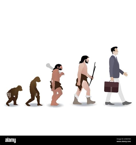 Clipart Evolution Of Man Timeline