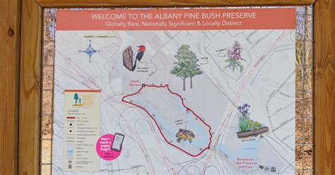 Find Family-Friendly Hiking Trails in the Albany, NY Area