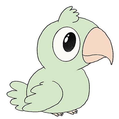 Easy Drawings Of Parrots